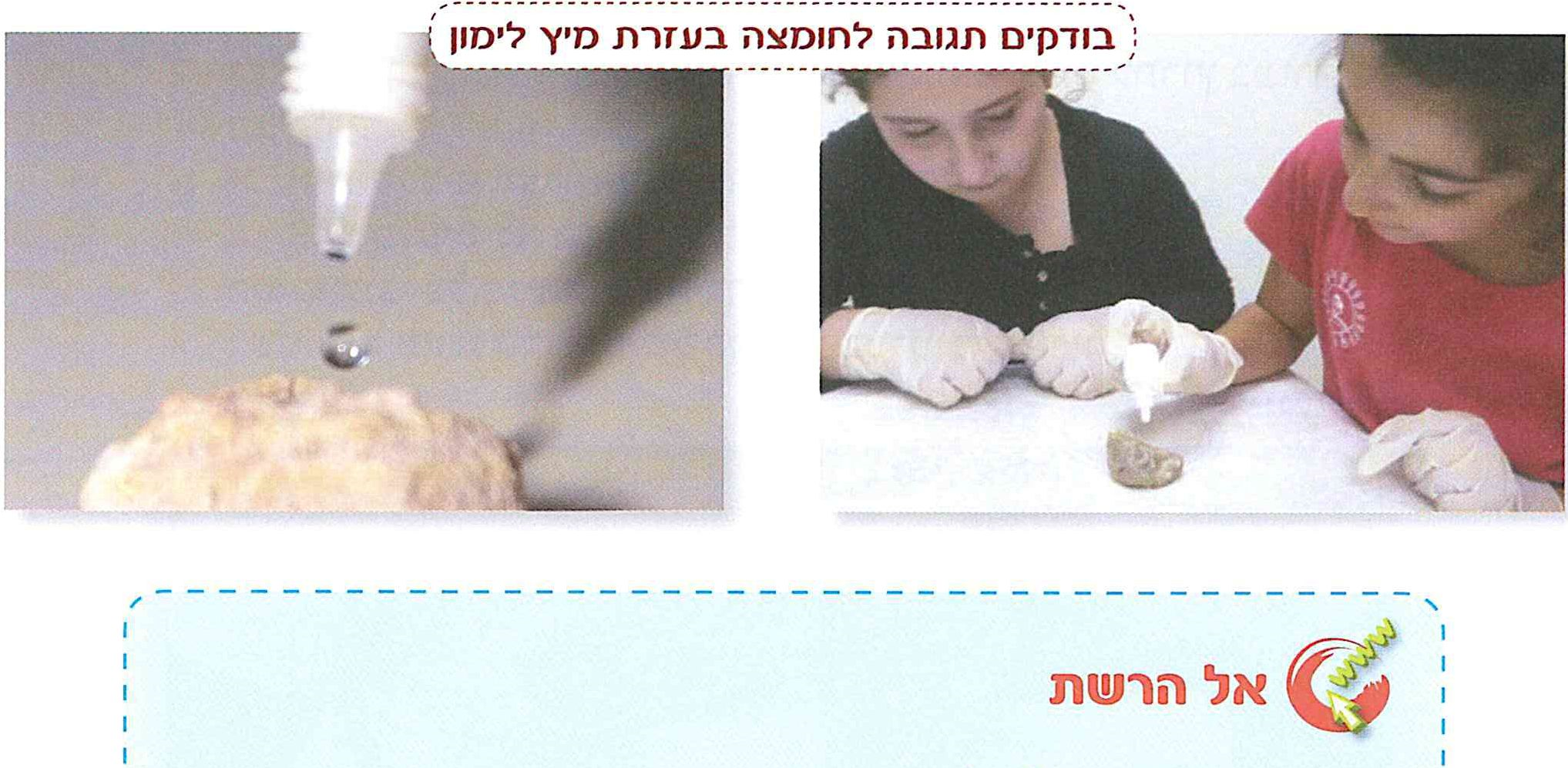 (בספר תמונות)
